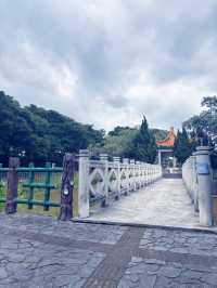桃園忠義公園介紹 🌳