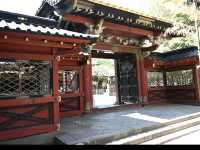 Half-Day Trip to Nezu Shrine & Yanaka Ginza from Tokyo! 🚶‍♀️⛩️