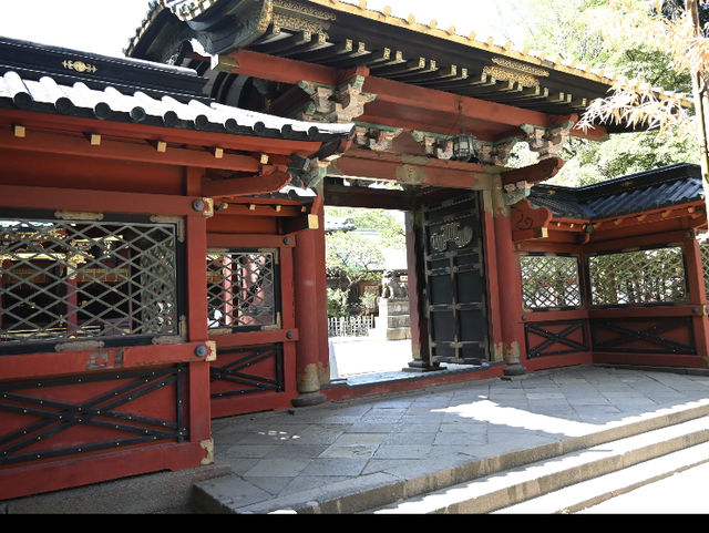Half-Day Trip to Nezu Shrine & Yanaka Ginza from Tokyo! 🚶‍♀️⛩️