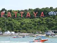 Pattaya Express: Sanctuary, Sand & Street Lights