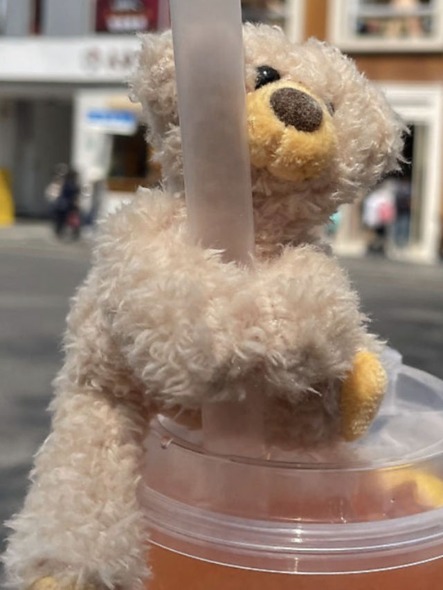 🧸 상하이 우캉루 감성 카페