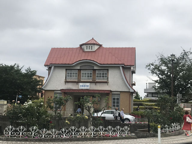 【田園調布から多摩川へ行き紫陽花、多摩川台古墳群、亀甲山古墳、多摩川浅間神社】