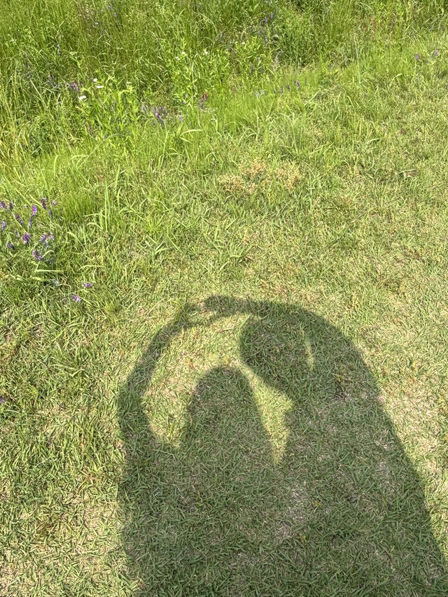 논산 여행
