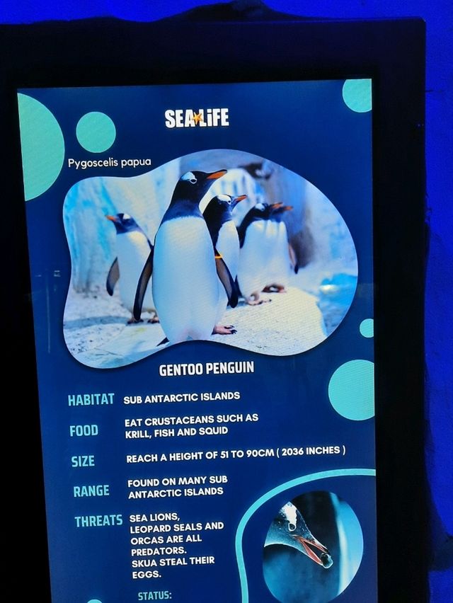 พาชม SEA LIFE Kelly Tarlton’s Aquarium, NZ🇳🇿