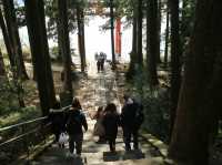 📍箱根神社 · 森林中的靜謐力量