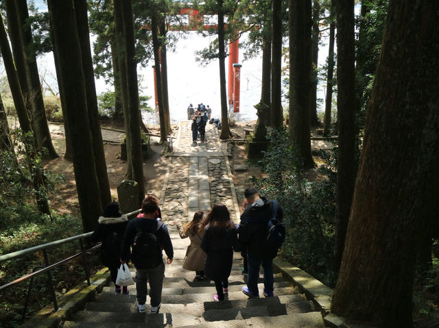 📍箱根神社 · 森林中的靜謐力量
