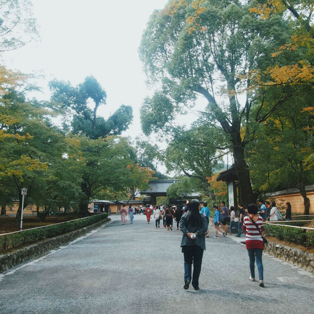 วัดคินคะคุจิ(Kinkakuji)