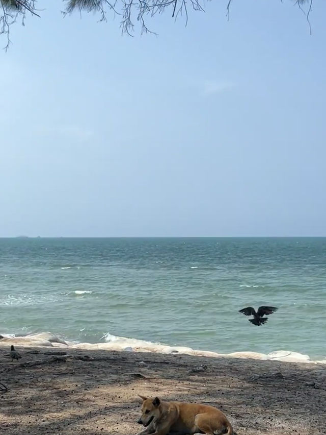 หาดสมิหลา ทะเลอ่าวไทยใต้🌊