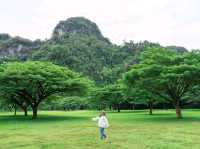 สัมผัสธรรมชาติอย่างใกล้ชิด 🌳 Borsaen Villa