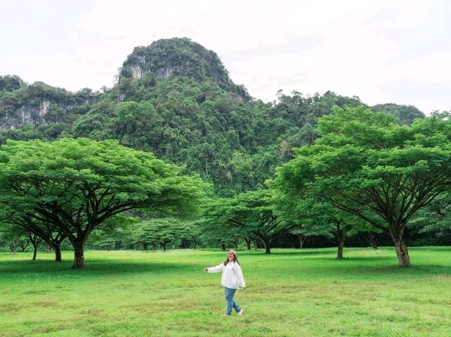 สัมผัสธรรมชาติอย่างใกล้ชิด 🌳 Borsaen Villa