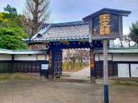 Echoes of Edo at Kan'ei-ji Temple complex