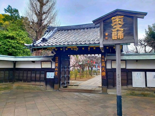 Echoes of Edo at Kan'ei-ji Temple complex