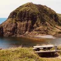 Futatsugame Beach: Shizuoka’s Secret Coastal Paradise – A Solo Traveler’s Escape"** 🌊🐢   