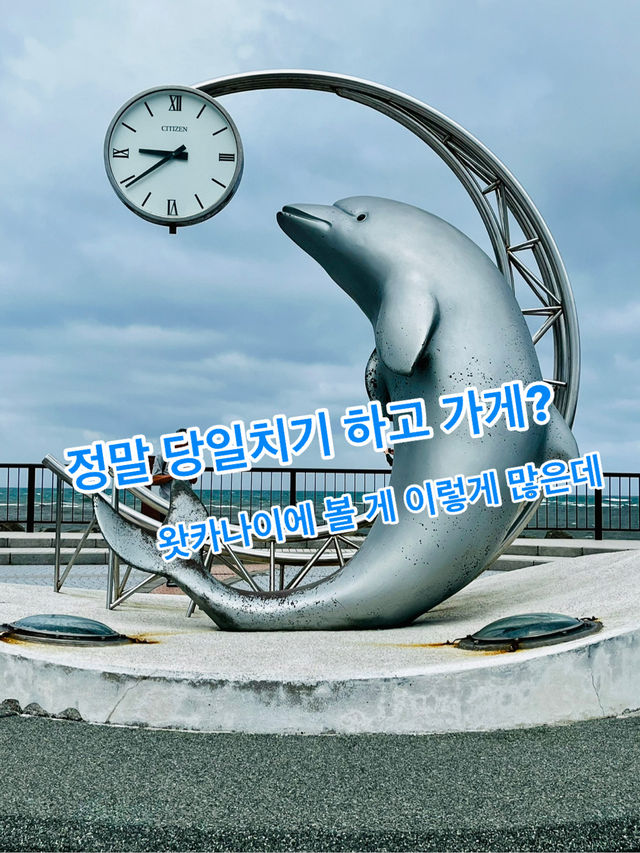 정말 당일치기 하고 가게? 왓카나이에 볼 게 이렇게 많은데