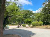 Peaceful Strolls at Ueno Park – A Calm Corner in Tokyo