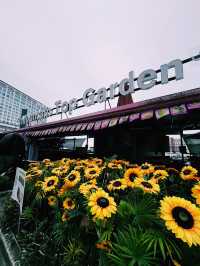 Durian Dreams in the Clouds at LaiFa Genting