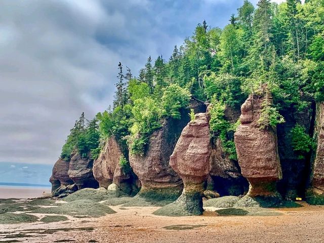 Where the Ocean Carves Magic: Hopewell Rocks