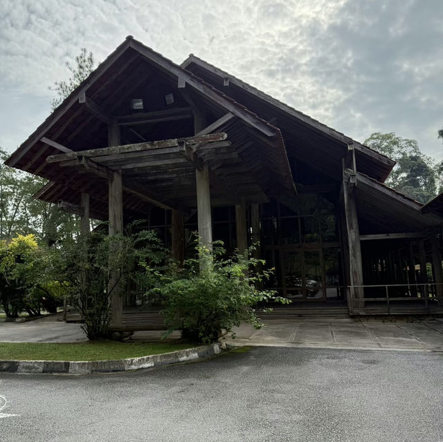 A Forest Hideaway Above the Highlands – My Visit to Pineyard Café, Genting