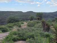 Davis Mountains State Park
