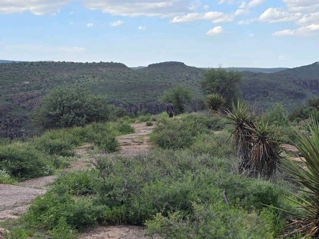 Davis Mountains State Park