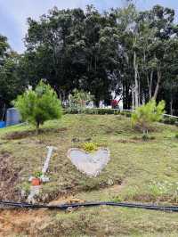 Family Fun Stop at The Hill Kundasang