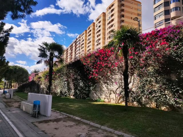 Turia Gardens