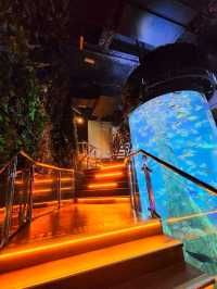 A Dive into the Deep at Aquaria KLCC