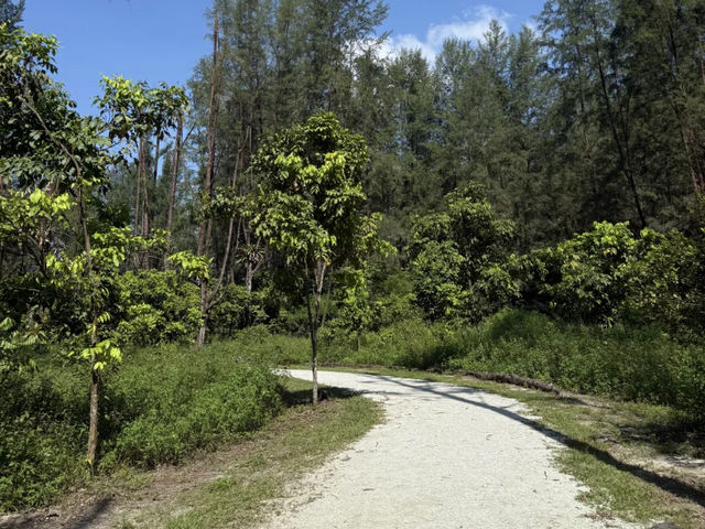 Coney Island: Singapore's Wild, Serene Escape! 🌿🐿️🚶‍♀️