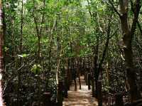 จันทบุรี เที่ยวชุมชนเก่าแก่ริมแม่น้ำจันทบูร