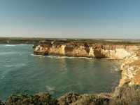 The Great Ocean Road Trip! 