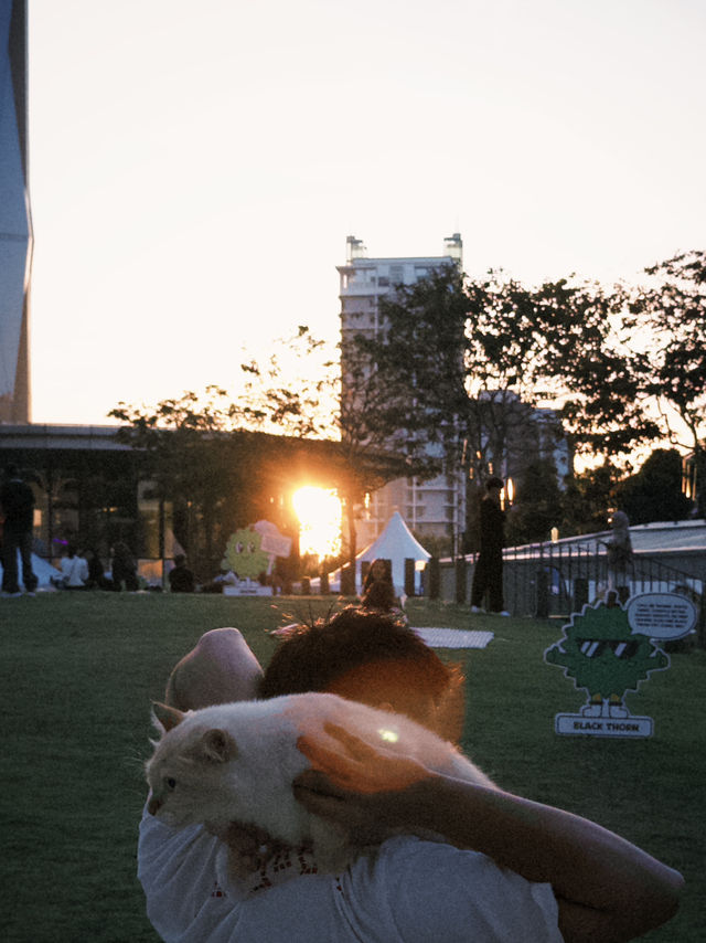 🌆 Sunset to Nightfall @ Lalaport BBCC Rooftop 🌃✨