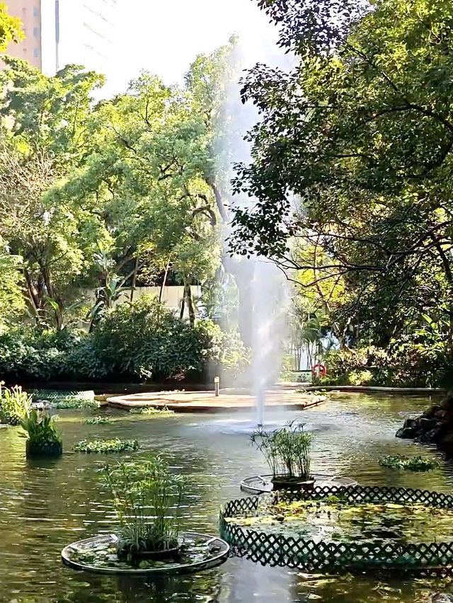 เดินเล่นในสวน Kowloon Park ฮ่องกง🇭🇰