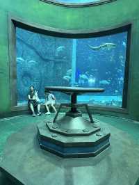 The Sea Shell-越南最大的水族館，吸睛巨型海龜造型