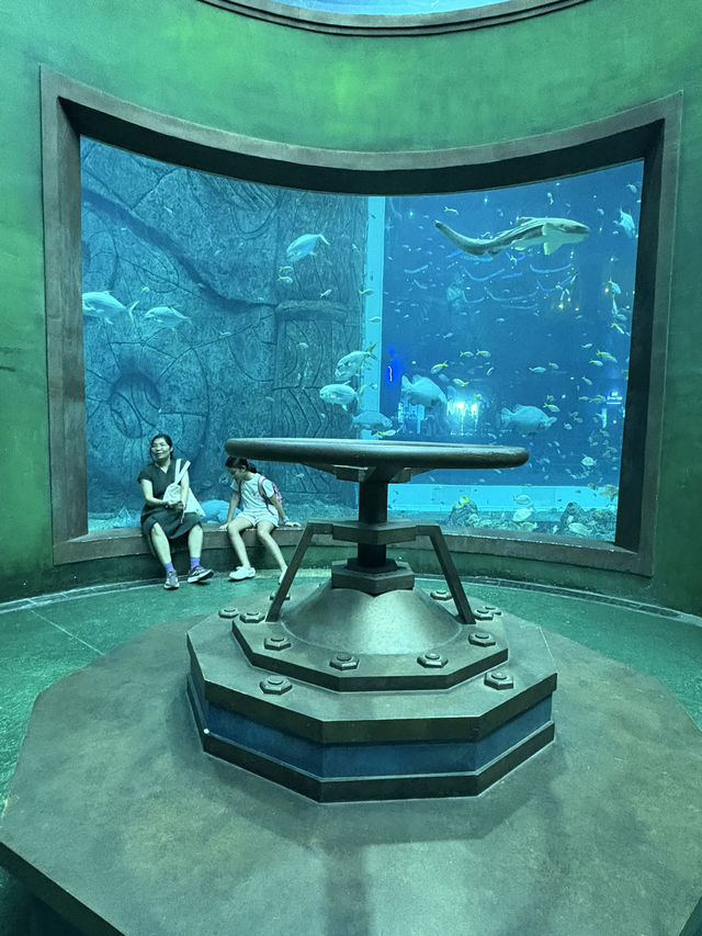 The Sea Shell-越南最大的水族館，吸睛巨型海龜造型