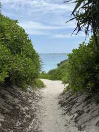 Miyakojima Travel Guide🏝️: Island Escapes & Hidden Beaches