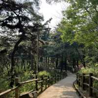 🇰🇷 How to spend 28 days in Seoul