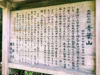 仙台🇯🇵東北大學植物園