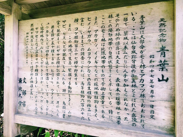 仙台🇯🇵東北大學植物園