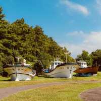 Haenyeo Museum: Dive into the Legacy of Jeju’s Fearless Sea Women"** 🌊🤿