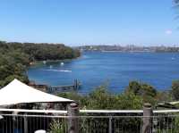 🐨 Taronga Zoo Sydney สวนสัตว์ที่วิวดีที่สุดในโลก!