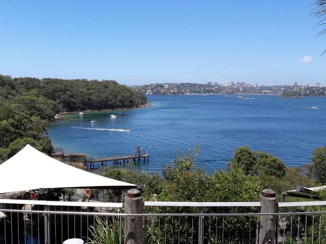 🐨 Taronga Zoo Sydney สวนสัตว์ที่วิวดีที่สุดในโลก!