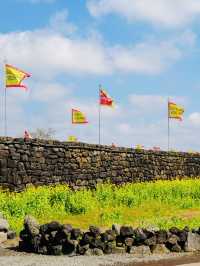 A Glimpse into Jeju's Defensive Heritage