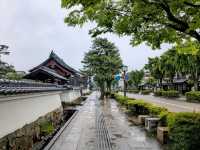 彥根 | 夢京橋城堡路，走訪江戶風情的彥根城下町