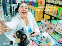 Dog Show 2025