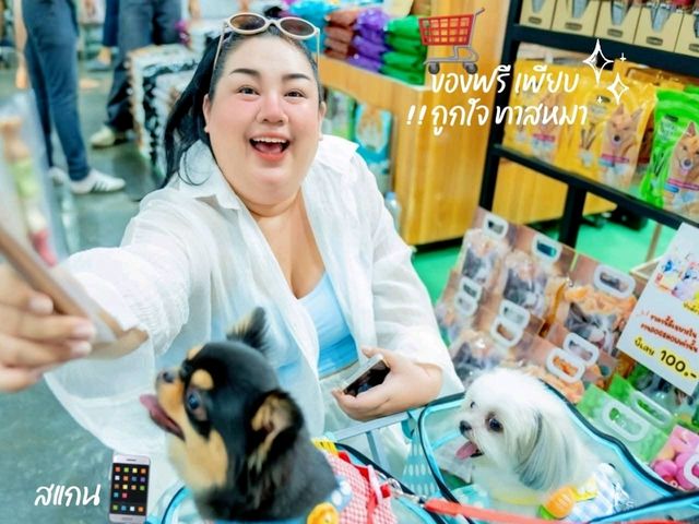 Dog Show 2025