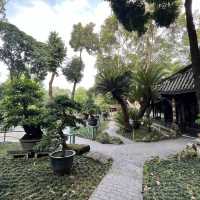 🎋 Chengdu People’s Park 成都人民公园 | A Window into Local Life