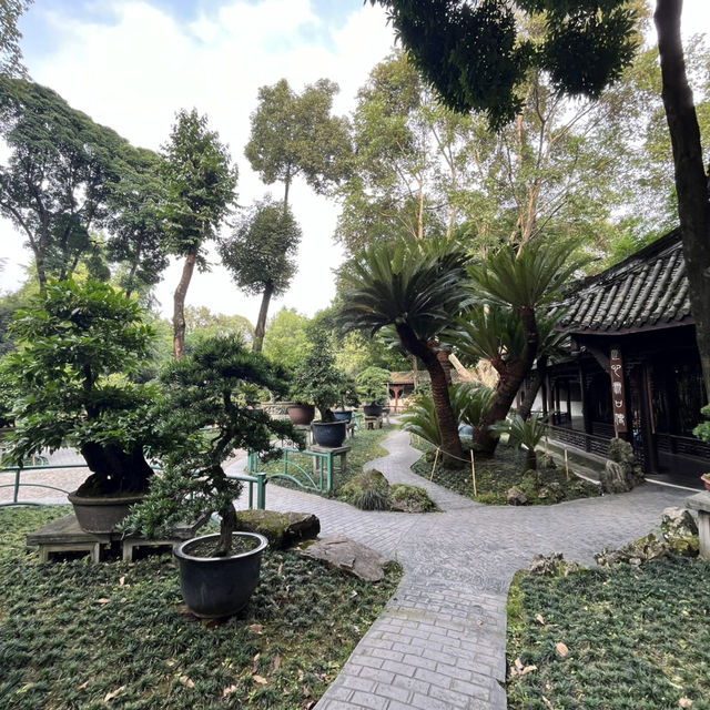 🎋 Chengdu People’s Park 成都人民公园 | A Window into Local Life