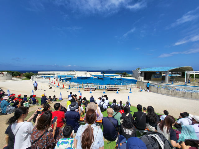 黑潮水槽震撼人心的海洋體驗/沖繩美麗海水族館