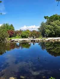 🌸 Early Summer Vibes at Queen Elizabeth Park – Vancouver’s Crown Jewel