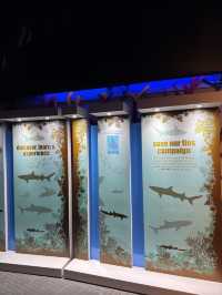 Meet the Shark at KLCC Aquaria